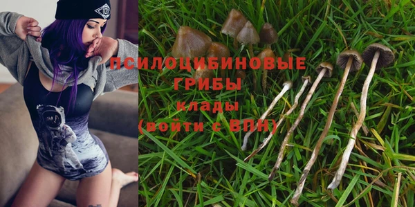 индика Абдулино