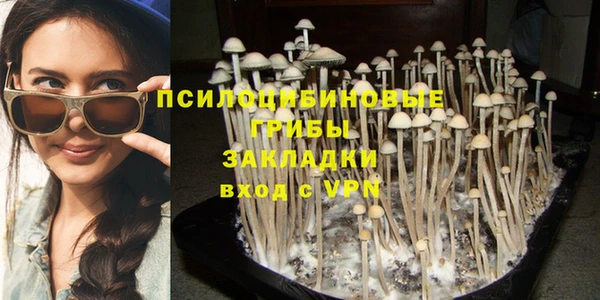 марихуана Абаза