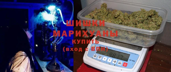индика Абдулино
